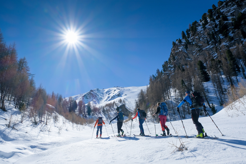 Activités à faire dans les Alpes en hiver